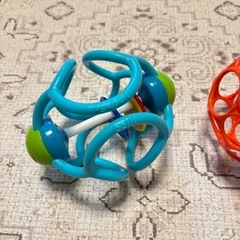 オーボールとボリィラトル
の画像