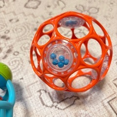 オーボールとボリィラトル
の画像