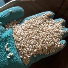 【在庫僅か❗️】7年産　中米　玄米30kgの画像