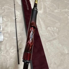 セフィア　リミテッド84L+の画像