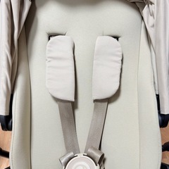 サイベックス　メリオカーボン　シーシェルベージュ　2023の画像