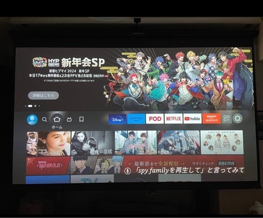 シアターハウススクリーン110インチと設置ポール、プロジェクター用設置ポール