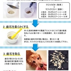 犬 /ドッグ/歯磨き/マジックゼオ・プロの画像