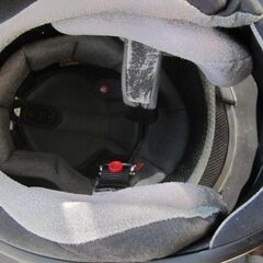 🍊アライの画像