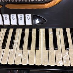 トンボ アコーディオン（ゲリーニ）41鍵 120ベース MMLの画像