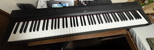 ほぼ未使用です(現地まで来てくれる方限定))