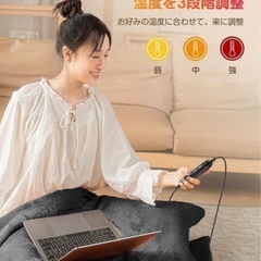 新品❤️ 新品　電気毛布 3段階温度調節 自動オフ タイマー付き グレーの画像