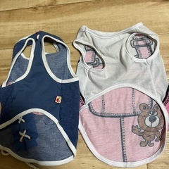 犬服✨小型犬用✨二枚セット✨女の子✨の画像