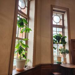 福岡で大喜利会！！