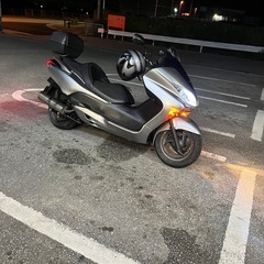 フォルツァの画像