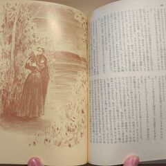 『かもめ　桜の園　決闘　六号室ほか』チェーホフ　講談社の画像