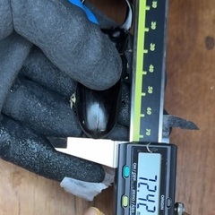 オオクワガタ　能勢YG血統の画像