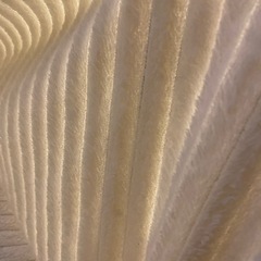 薄手毛布　100×140の画像