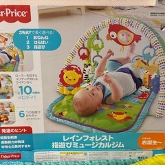 ベビージム　フィッシャープライス　レインフォレストの画像