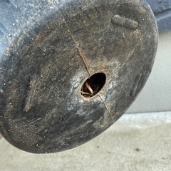 ユッカ　ヴァリダ　検)ドライガーデン　観葉植物の画像