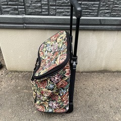 お出かけカートの画像