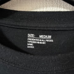 無地ロンTの画像