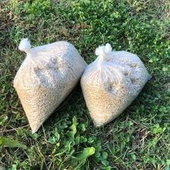 籾（もみ）　鳥のエサなどにの画像