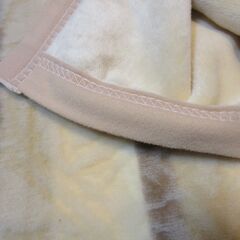 Aquqscutum アクアスキューダム　新品未使用　高級シール織綿毛布　シングル　ロゴ刺繍入りの画像