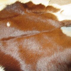 リアルレザー　本革の敷物　バックなど制作用の素材にも使えます　の画像