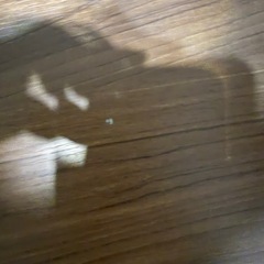 ローテーブルの画像