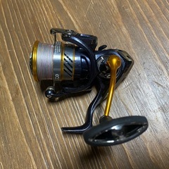 ダイワレブロスLT3000の画像