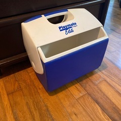 イグルークーラーボックスの画像