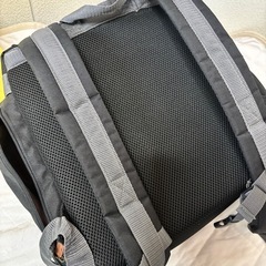 無料　至急！RADICA ペットリュック の画像