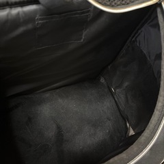 無料　至急！RADICA ペットリュック の画像