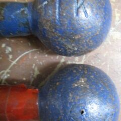 ☆鉄アレイ ダンベル 1kg×2 2kg分2点セット トレーニングの基本◆筋トレに！ 基礎体力アップを狙うならコレの画像