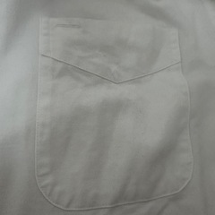 トミーフィルガーの画像