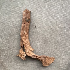 アクアリウム　流木の画像