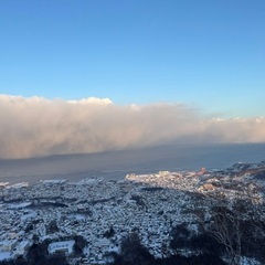 ◆女の子150cm　ｃｈａｍｐｉｏｎ　GIRLS 　ブルゾン 　☆おまけありの画像