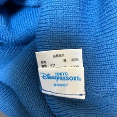 ドナルドダック　ニット帽の画像