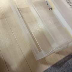 爬虫類飼育ケージ(自作)の画像