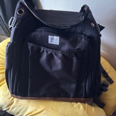 無料　至急！RADICA ペットリュック の画像