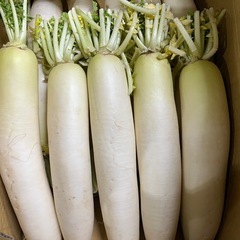 豊水梨1箱約9キロの画像