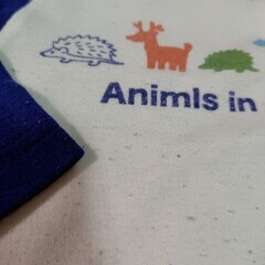 電車柄 ベビーパジャマ長袖２点セット 80cmの画像