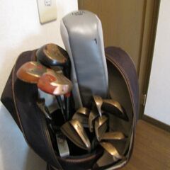 BRIDGESTONE アインゴルフクラブ一式、キャディバック、ボール付きの画像