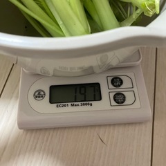 小松菜　10束程　約200gの画像