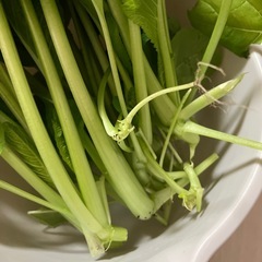 小松菜　10束程　約200gの画像