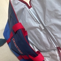 Costco shopping Bagの画像