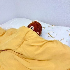 状態良好 布団3枚 無料でお譲りしますの画像