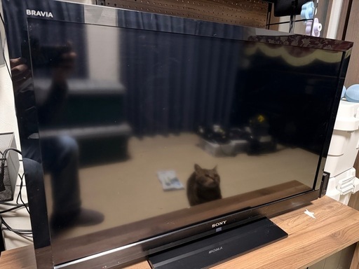 BRAVIA 40型,ActiveSpeaker System