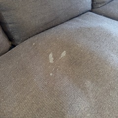 ソファー ブラウンの画像