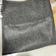 （再出品)電気カーペットの画像