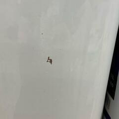 SG00001 新品未使用 サンデーペイント ポリベスト洗浄剤　アセトン　4L 250305  白 FRP用 2点まとめ売り [0000000001372]の画像