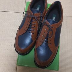 軽量革命シューズ  27cmの画像