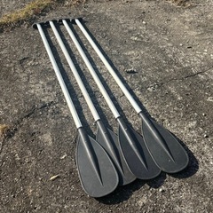 ボートのオールの画像