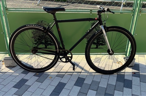 FUJI declaration 49 ピスト